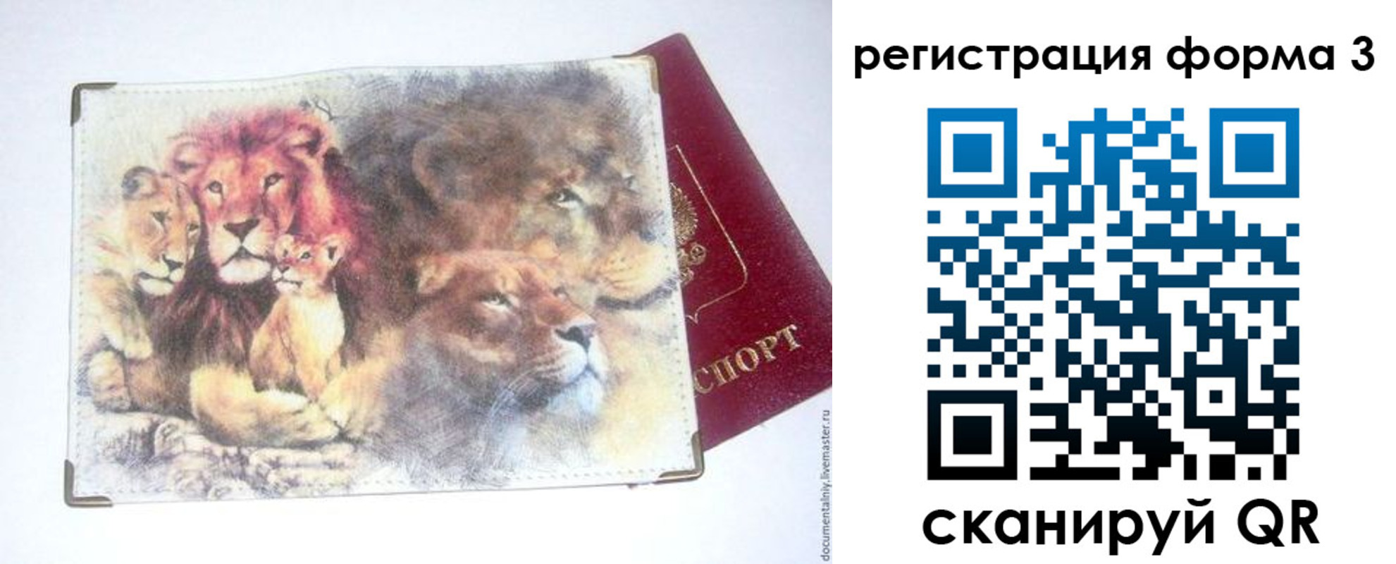 прописка в квартире в Сегеже